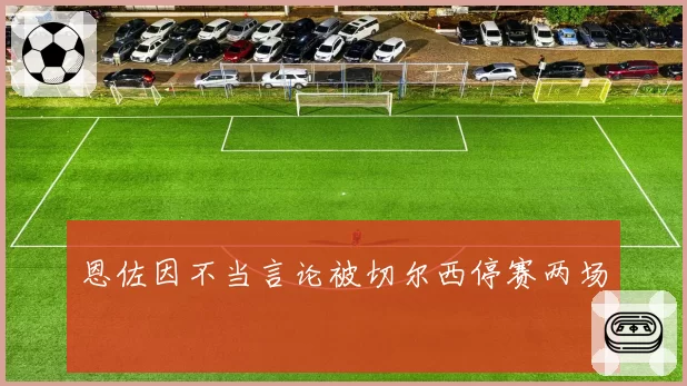 恩佐因不当言论被切尔西停赛两场