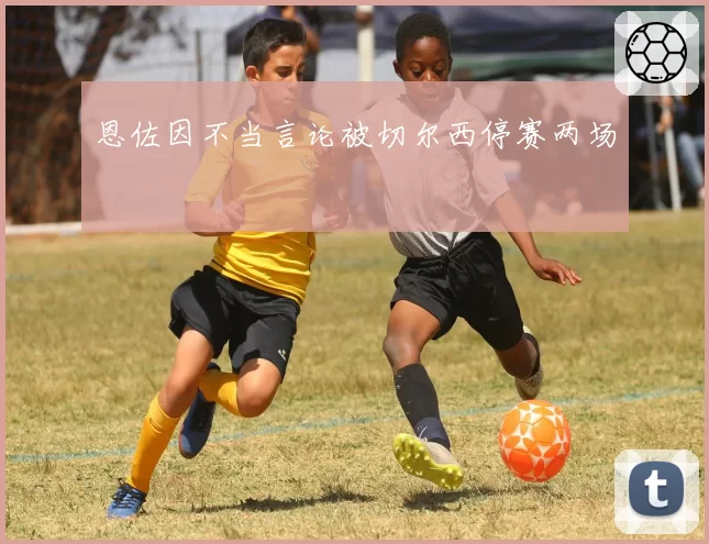 恩佐因不当言论被切尔西停赛两场