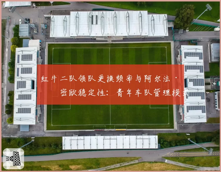 红牛二队领队更换频率与阿尔法·罗密欧稳定性：青年车队管理模式的利弊探讨